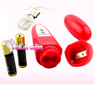 Đồ chơi tình dục